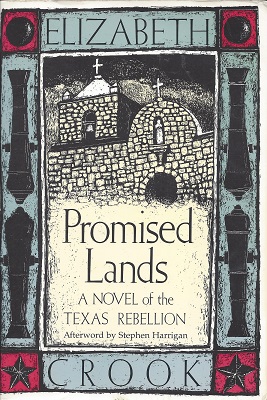 Image for Promised Lands:  A Novel of the Texas Rebellion